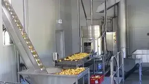 Línea de Producción de Chips de Papa