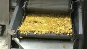 Línea de Producción de Chips de Plátano