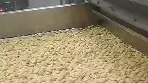 Línea de Producción de Frutos Secos Sazonados