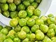 Freidora de Frutos Secos (Freidora de Inmersión Continua)
