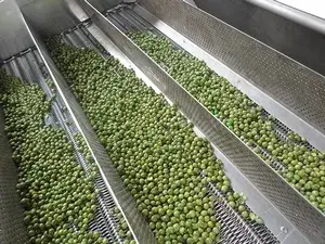 Línea de Producción de Frutos Secos Sazonados