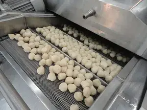 Línea de Producción de Frutos Secos Sazonados